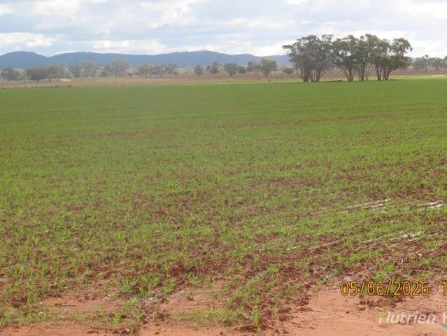 Acreage for sale in Bogan, New South Wales