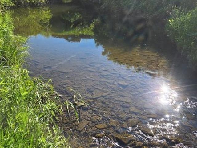 Land for sale in Silver Springs, New York