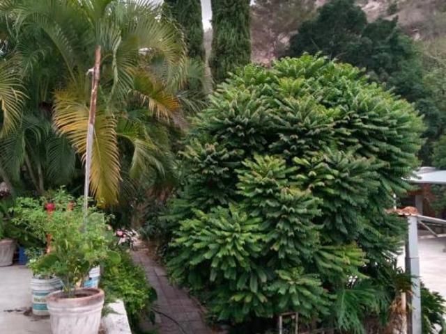 Hermosa casa en plan de Ayala con alberca