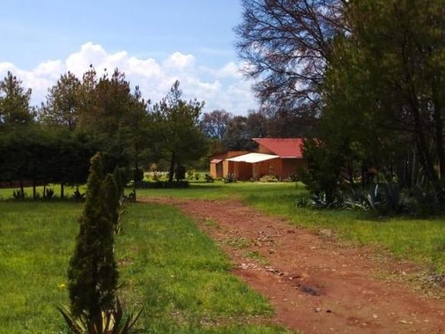 Hermosa Finca ideal para proyecto ecoturistico o huerta!