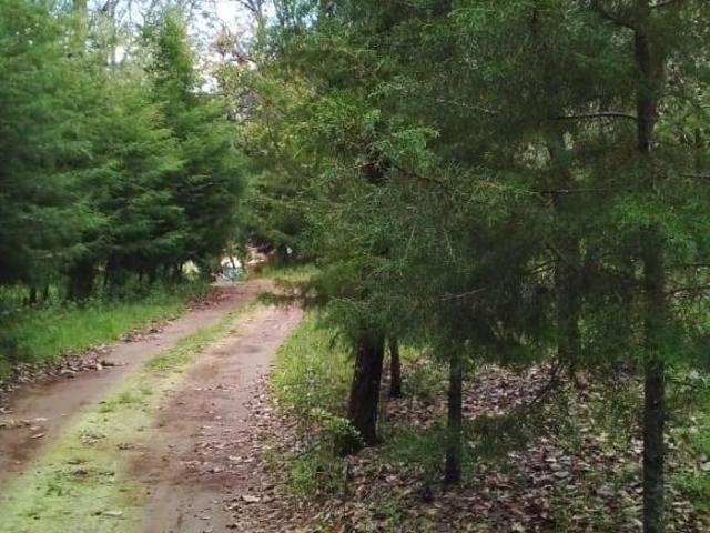 Hermosa Finca ideal para proyecto ecoturistico o huerta!