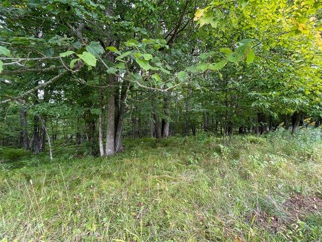 Land for sale in Sawyer, Wisconsin