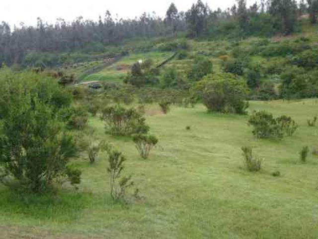Terreno en venta en Concón, Provincia de Valparaíso