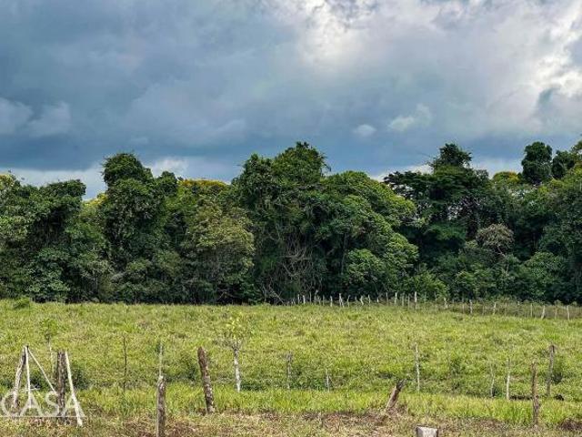 Hermosa Propiedad En Venta En Guabal De Boqueron