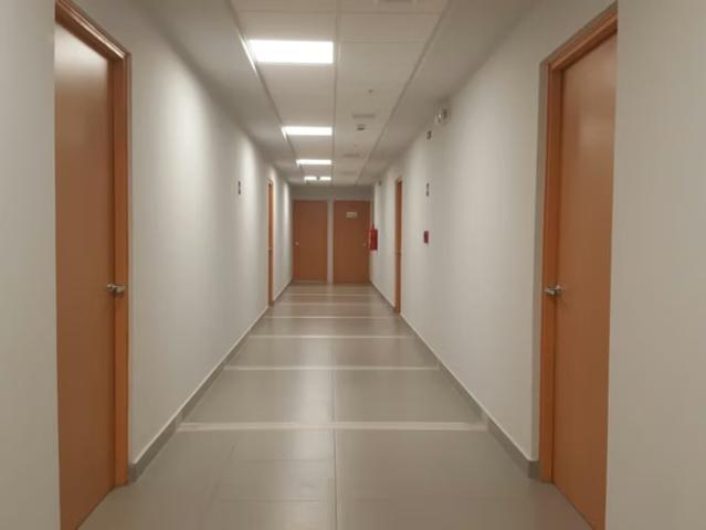 Oficina alquiler en David