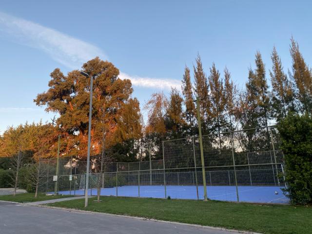 Hermoso Departamento en Linderos