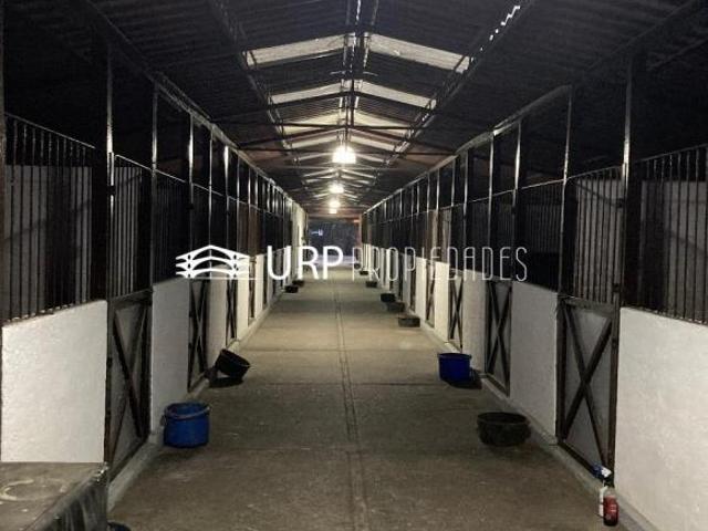 HERMOSO HÍPICO SAN LUIS CON 2 CASAS