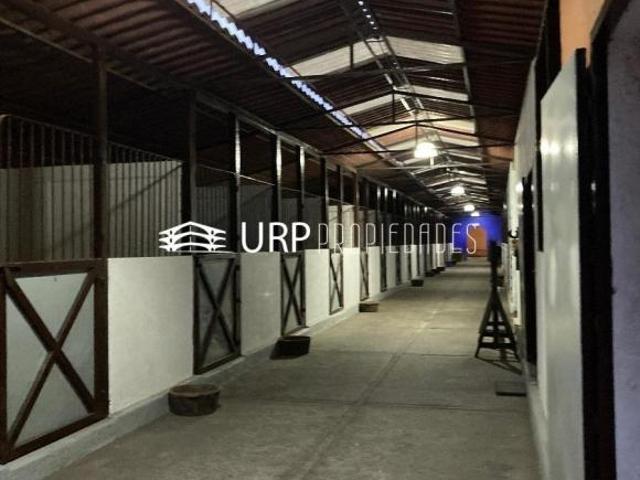 HERMOSO HÍPICO SAN LUIS CON 2 CASAS