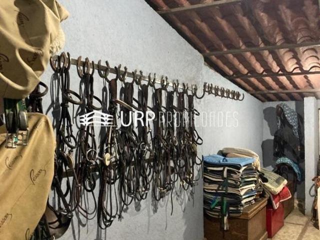 HERMOSO HÍPICO SAN LUIS CON 2 CASAS