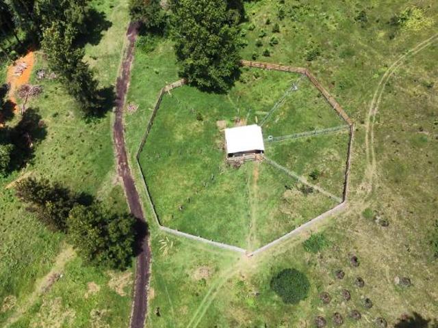 Rancho en venta en Ixhuacán De Los Reyes, Veracruz