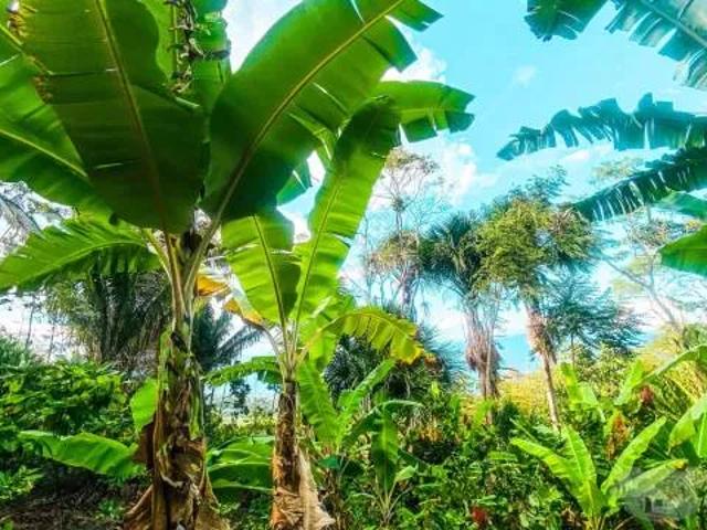 Terreno venta en San Martin