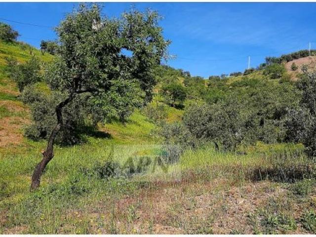 Local Comercial en venta en El Puente, Valle del Guadalhorce