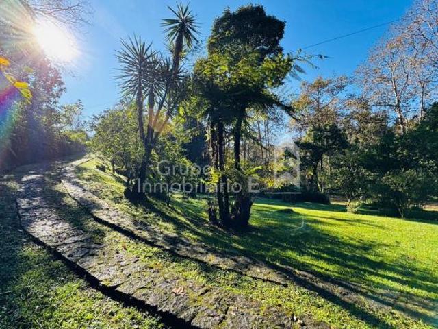 Cabaña con amplio terreno en Coatepec