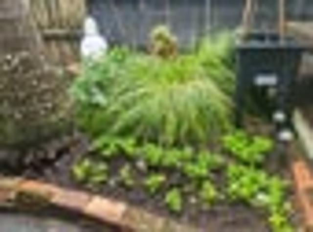 House for rent in Auckland, Oroua County