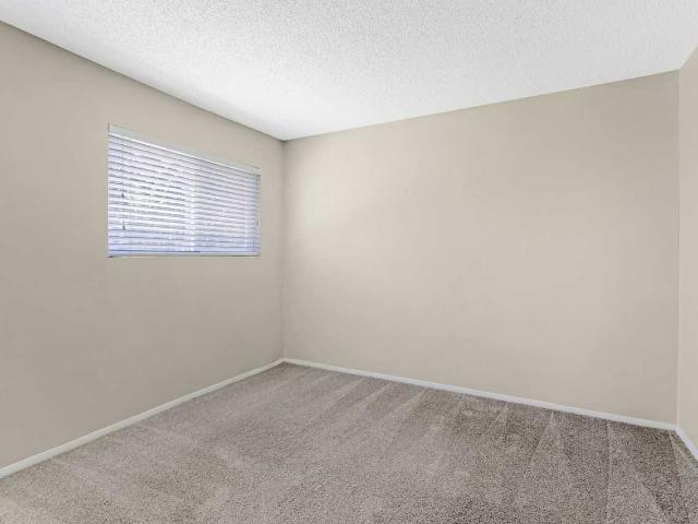 Apartment for rent in Jacksonville, Florida