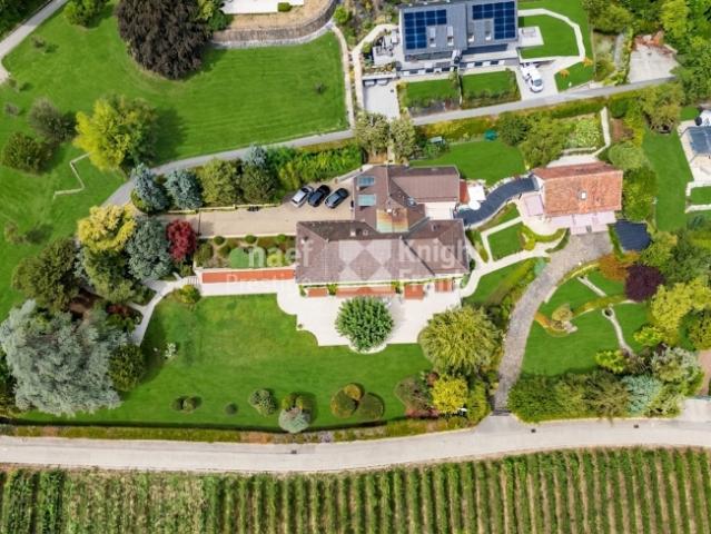 Einfamilienhaus kaufen in Bursins, Waadt