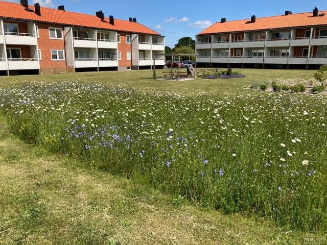 Lägenhet hyra i Hammenhög, Skåne län