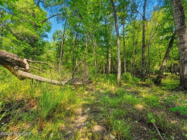 Land for sale in Nahunta, Georgia