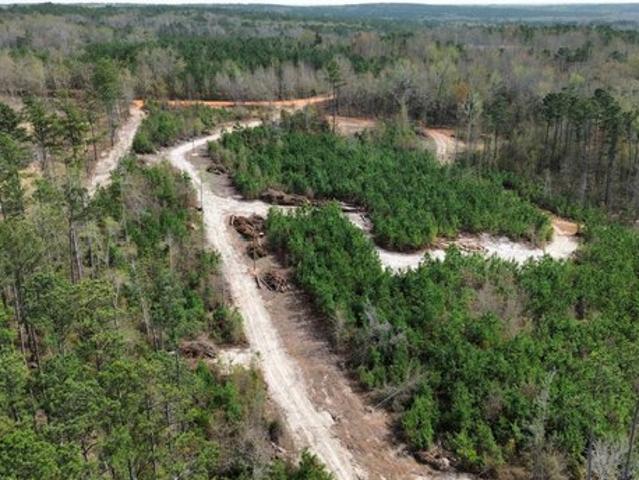 Land for sale in Rembert, South Carolina