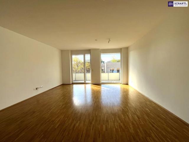 Apartment mieten in Katastralgemeinde Gries, Graz