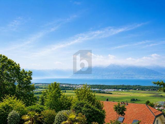 Haus kaufen in Féchy, Waadt