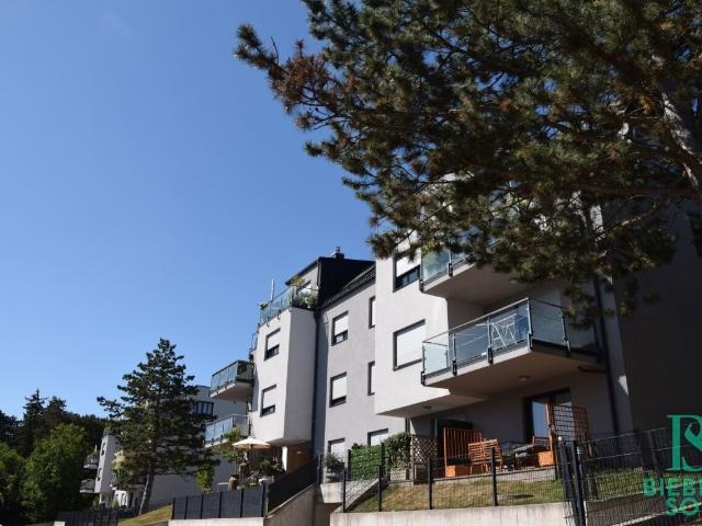 Apartment mieten in KG Auhof, Wien