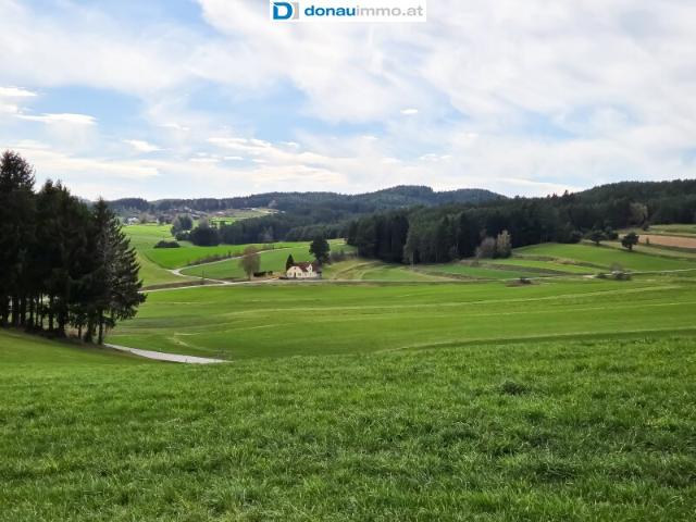 Haus kaufen in Rappottenstein, Niederösterreich