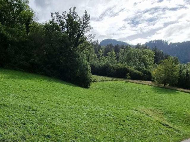 Grundstück kaufen in Ludesch, Vorarlberg