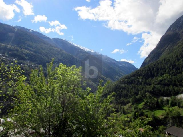Grundstück kaufen in Stalden (VS), Wallis