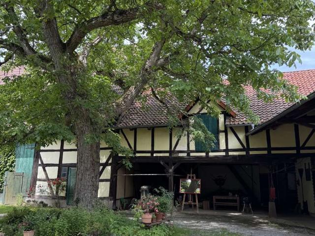 Haus kaufen in Greene, Einbeck