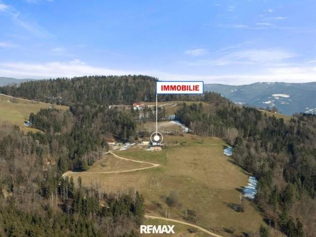 Gewerbe kaufen in St. Marein, St. Johann im Pongau