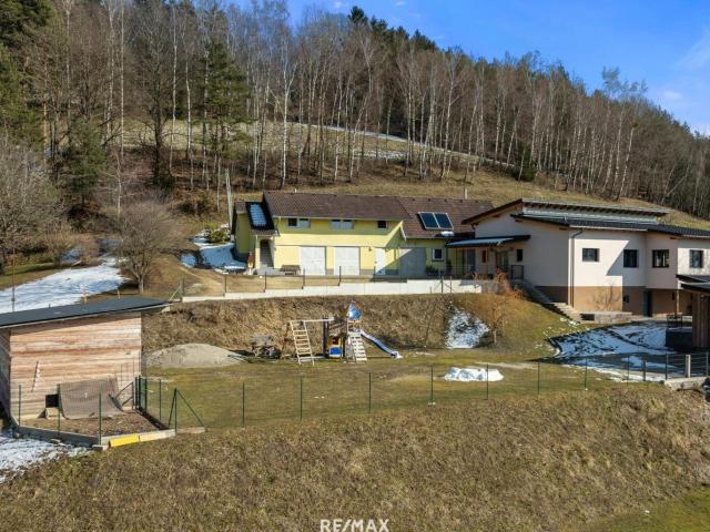 Landwirtschaft kaufen in Lavamünd, Kärnten