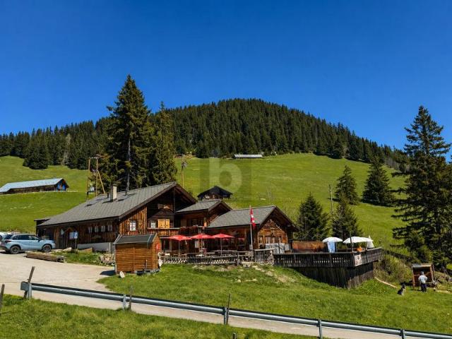 Haus kaufen in Leysin, Waadt