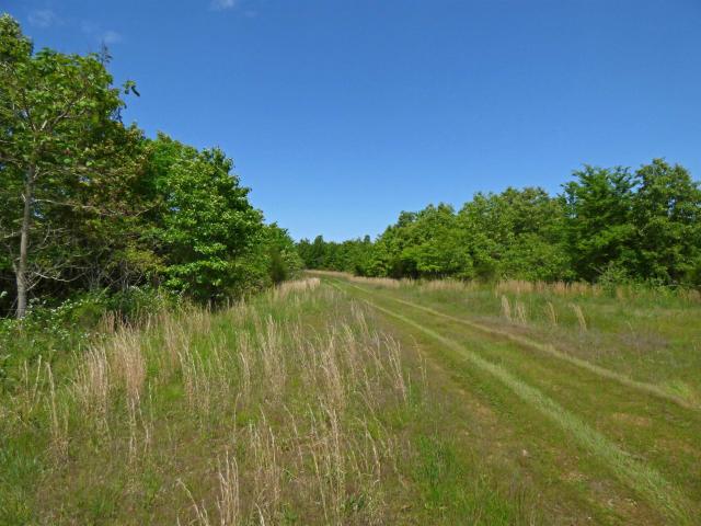 Land for sale in Ark