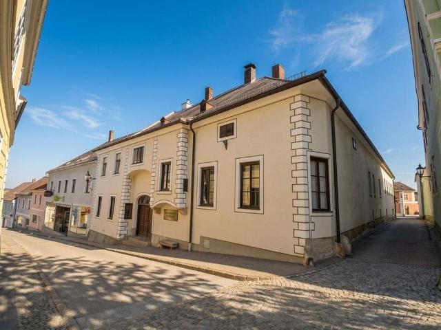 Wohnung mieten in Großeibenstein, Gmünd
