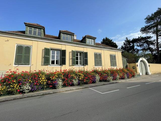 Haus kaufen in Bisamberg