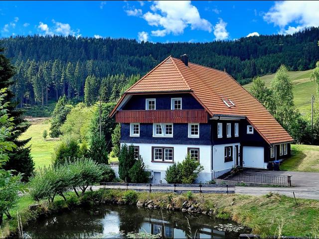 Haus kaufen in Schluchsee, Baden-Württemberg
