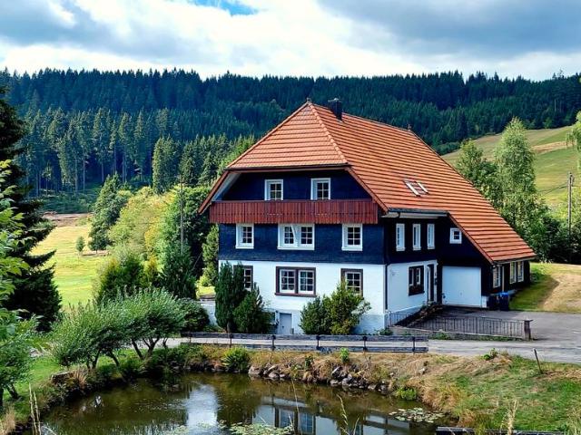 Haus kaufen in Schluchsee, Baden-Württemberg