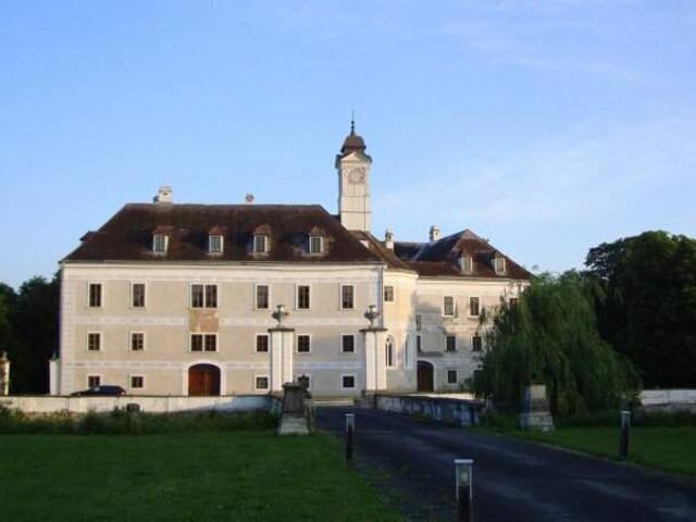 Wohnung mieten in Bruck an der Leitha, Niederösterreich