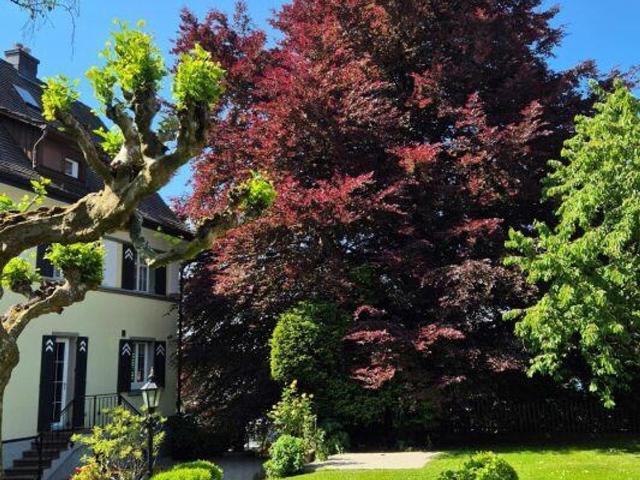 Villa kaufen in Rorschacherberg