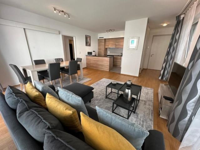 Wohnung mieten in Carouge (GE)