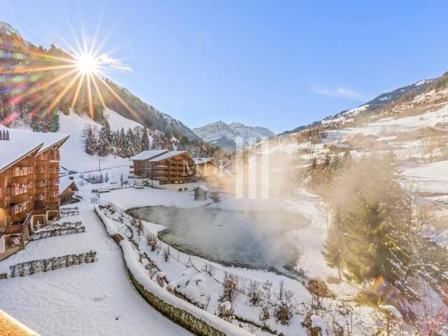 Wohnung kaufen in Val-d'Illiez, Wallis