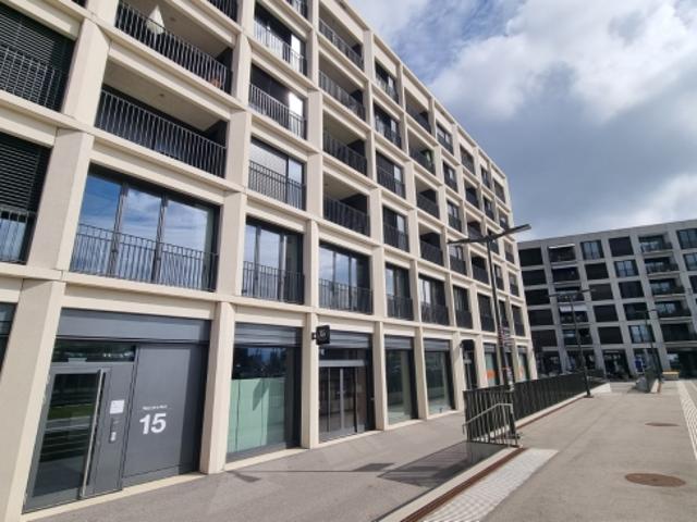 Wohnung mieten in Bulle, Freiburg