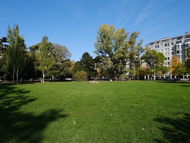 Wohnung kaufen in Carouge (GE)