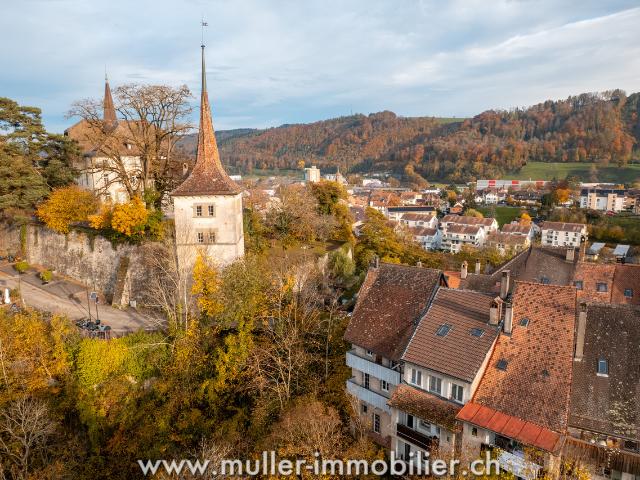 Wohnung kaufen in Moudon, Waadt