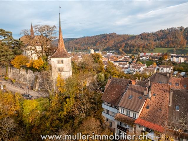 Wohnung kaufen in Moudon, Waadt
