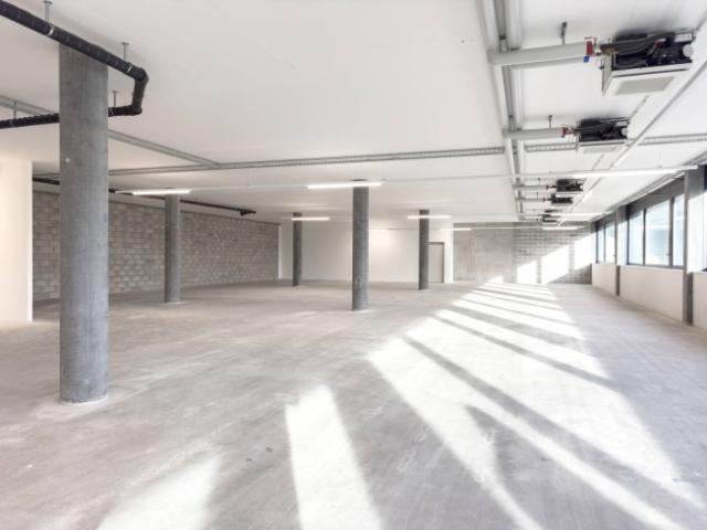Wohnung mieten in Plan-les-Ouates