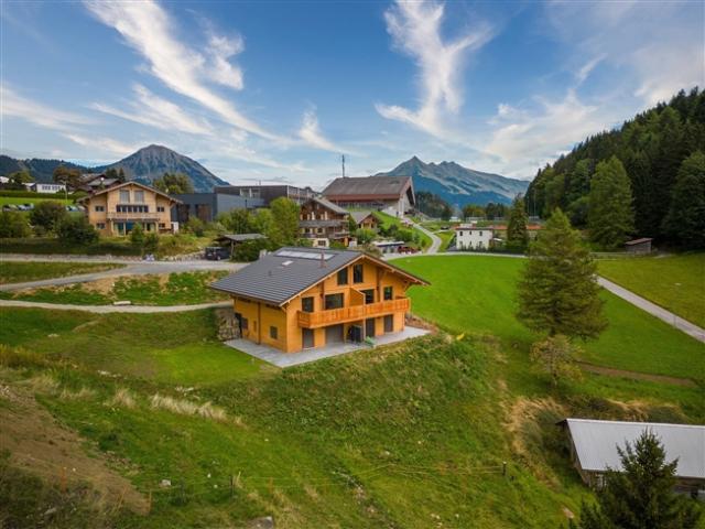 Attikawohnung kaufen in Leysin, Waadt