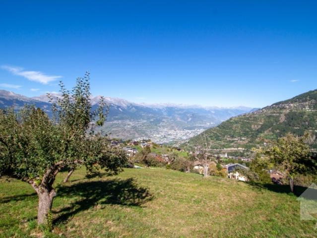 Grundstück kaufen in Baar, Nendaz, Wallis