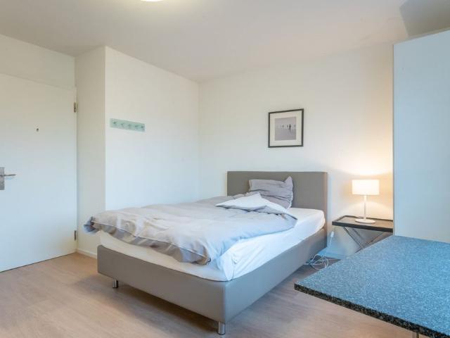 Apartment mieten in Grossbasel, Basel